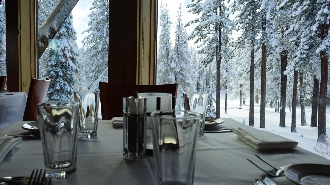 Bear Meadows Lodge - Hot Tub - Tahoe Donner Home Truckee Exteriér fotografie